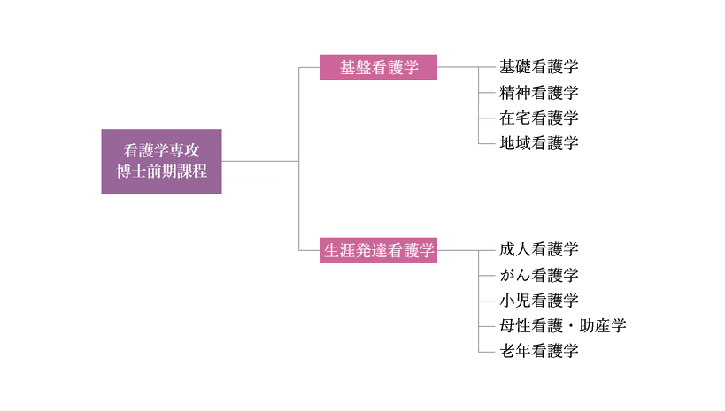 看護学専攻博士前期課程構成